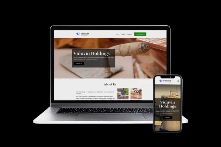 Viduvin Holdings Website Development project preview