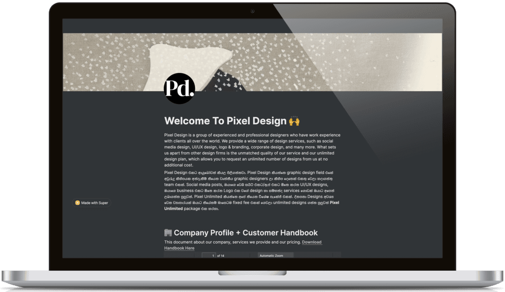 Pixel Design Portfolio project preview